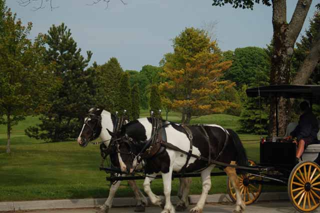 horse and buggy on Mackinac Island